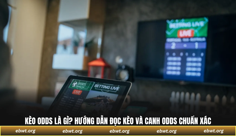 Kèo odds là gì? Hướng dẫn đọc kèo và canh odds chuẩn xác