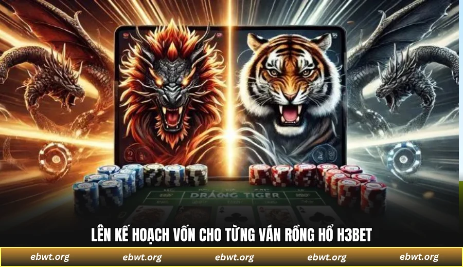 Lên kế hoạch vốn cho từng ván Rồng Hổ H3BET